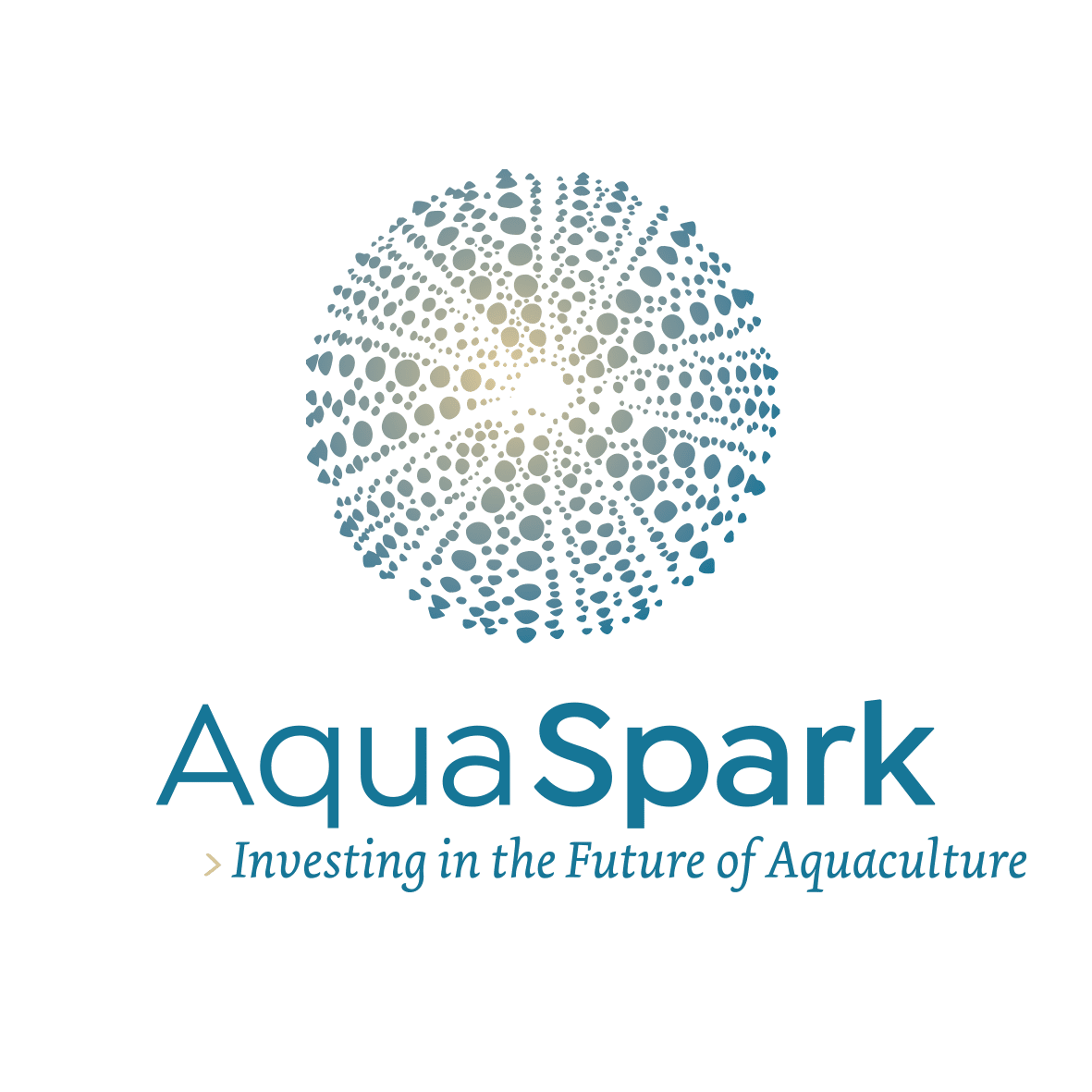 Aquaspark: team video